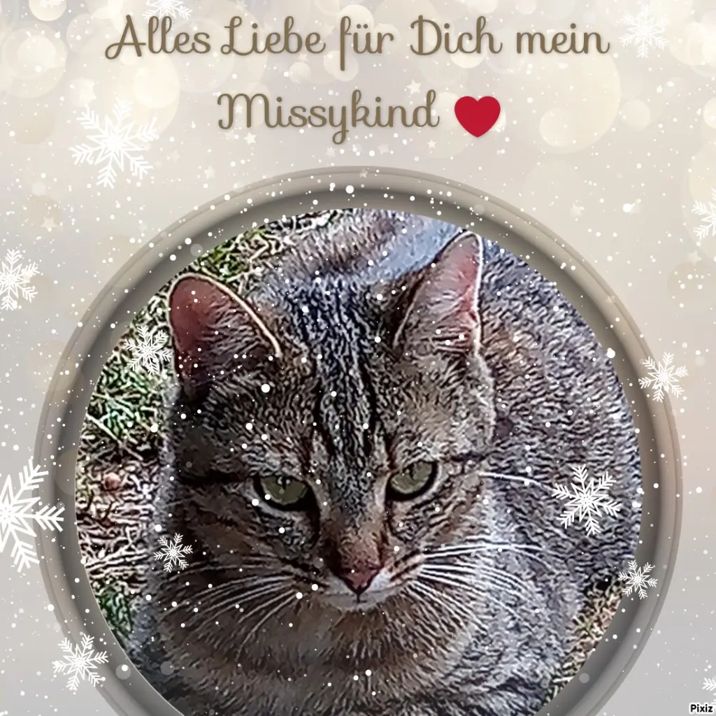 Andachtsbild von Für meinen kleinen Schatz Missy ♥️
