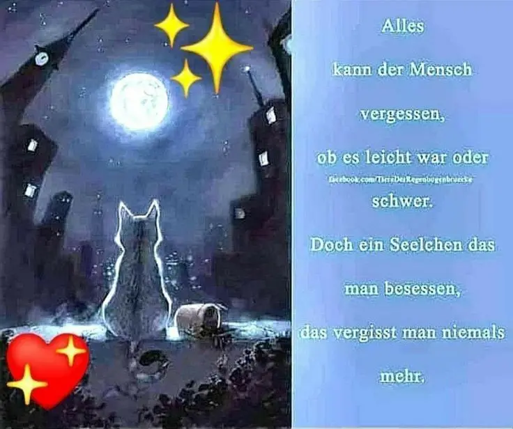 Andachtsbild von Für Dich meine kleine Missyle ♥️