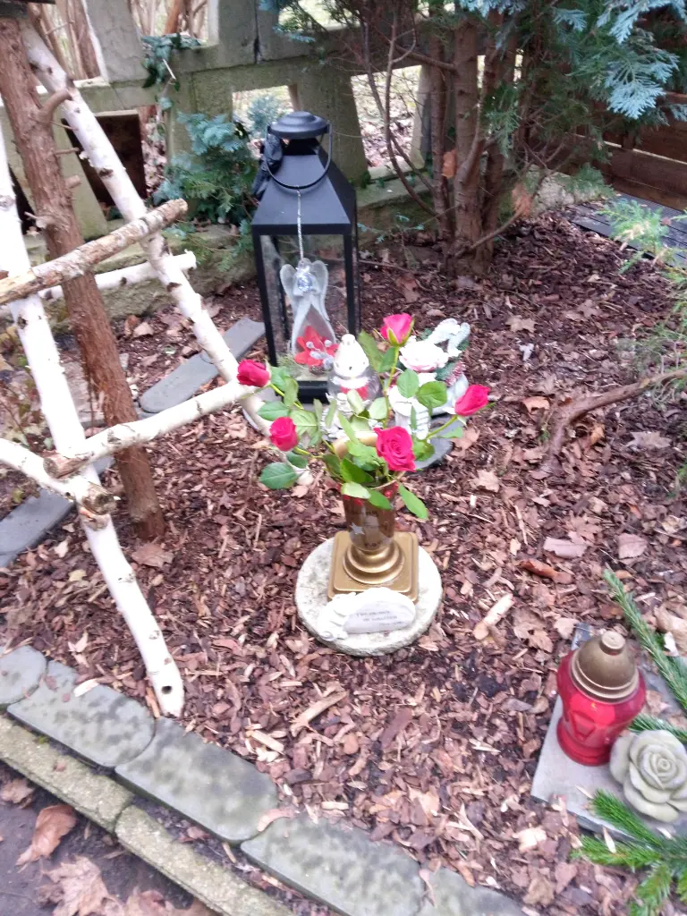 Andachtsbild von Für Dich meine kleine Missymaus ❤️