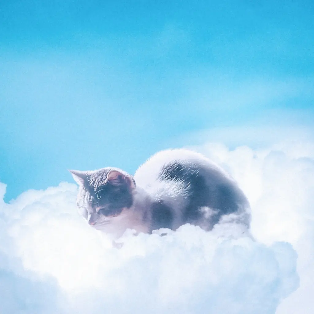 Andachtsbild von Sternchenpost ♥