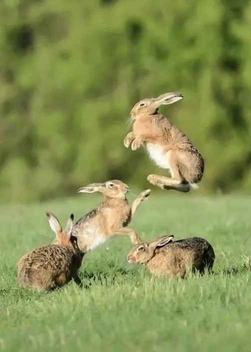 Andachtsbild von ❤️ Frohe Ostern ❤️ wünschen Pauline, Leonie und Daniela