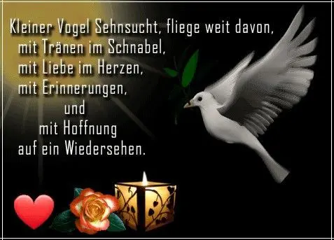 Andachtsbild von Für unsere kleine Maus Missy♥️