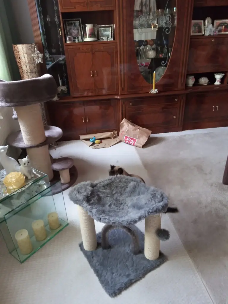 Andachtsbild von Für Dich meine kleine Missyle ♥️