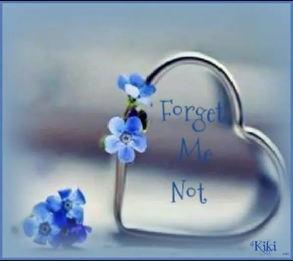 Andachtsbild von Für unseren kleinen Schatz Missy♥️