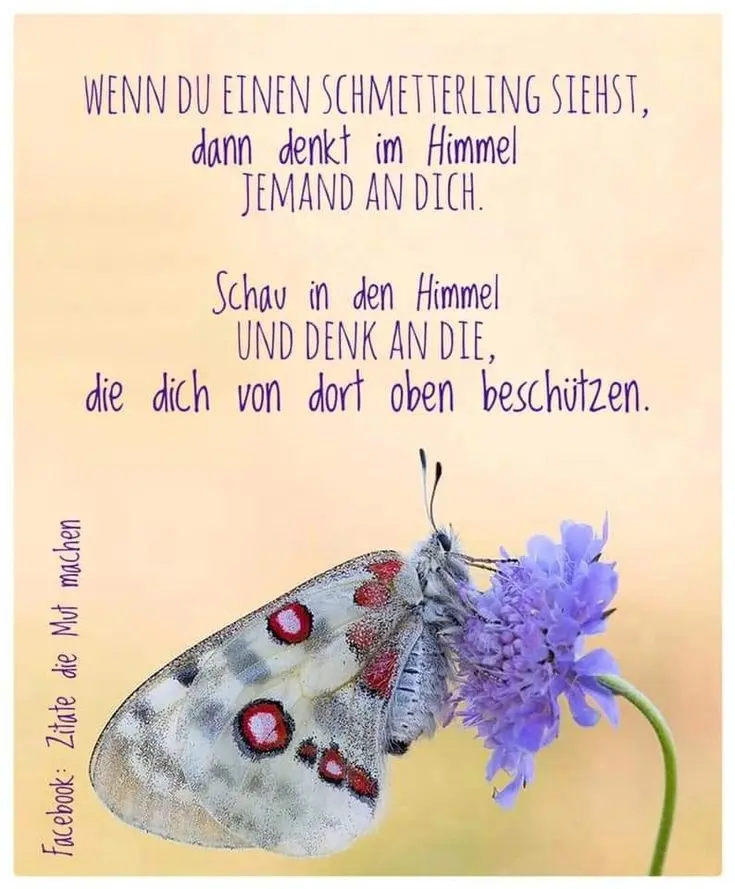 Andachtsbild von Für Dich meine kleine Missymaus ❤️