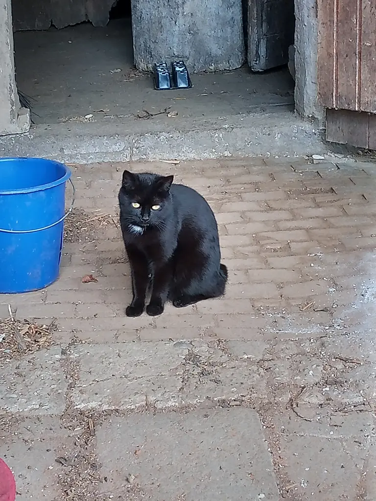 Andachtsbild von ❤️❤️❤️