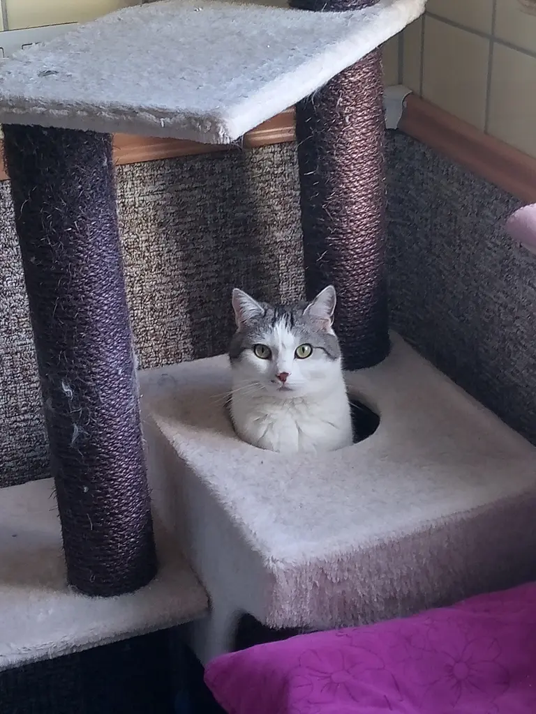 Andachtsbild von Für Dich mein liebes Missyle ♥️