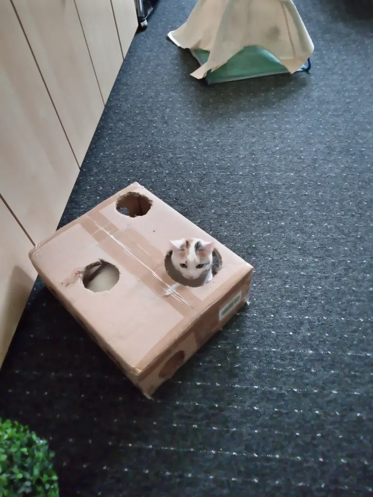 Andachtsbild von Für Dich...unsere kleine Missyle ♥️