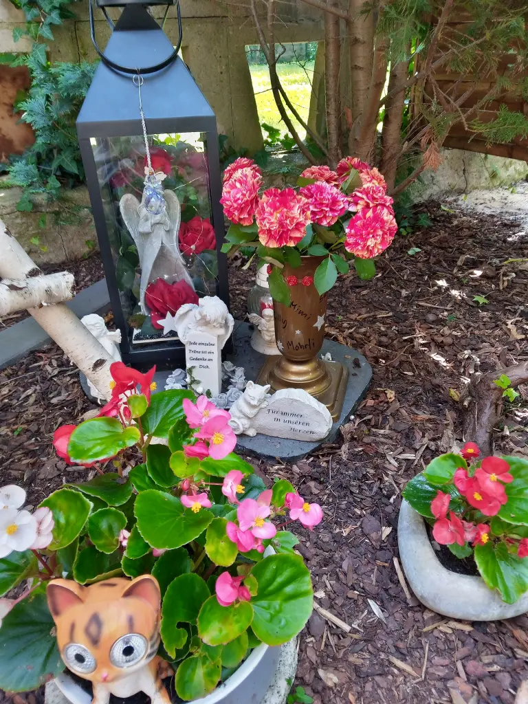 Andachtsbild von Für unsere kleine Maus Missy♥️