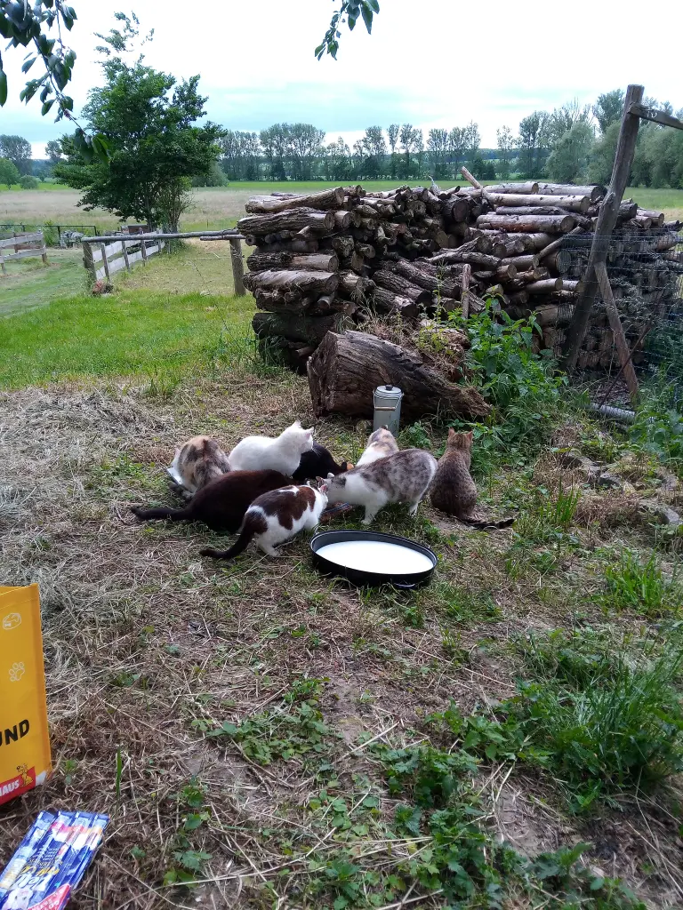 Andachtsbild von ♥️♥️♥️