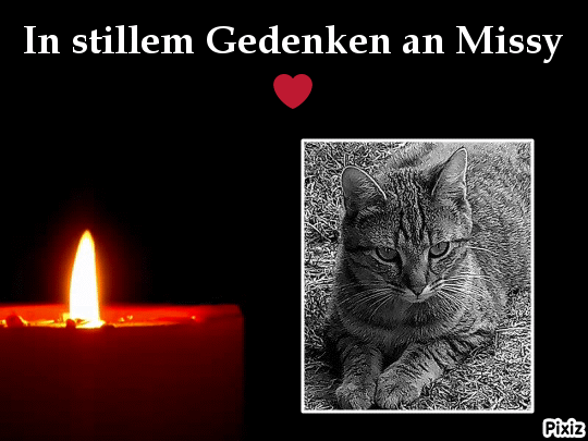 Andachtsbild von Tanja mit Timmy im Herzen