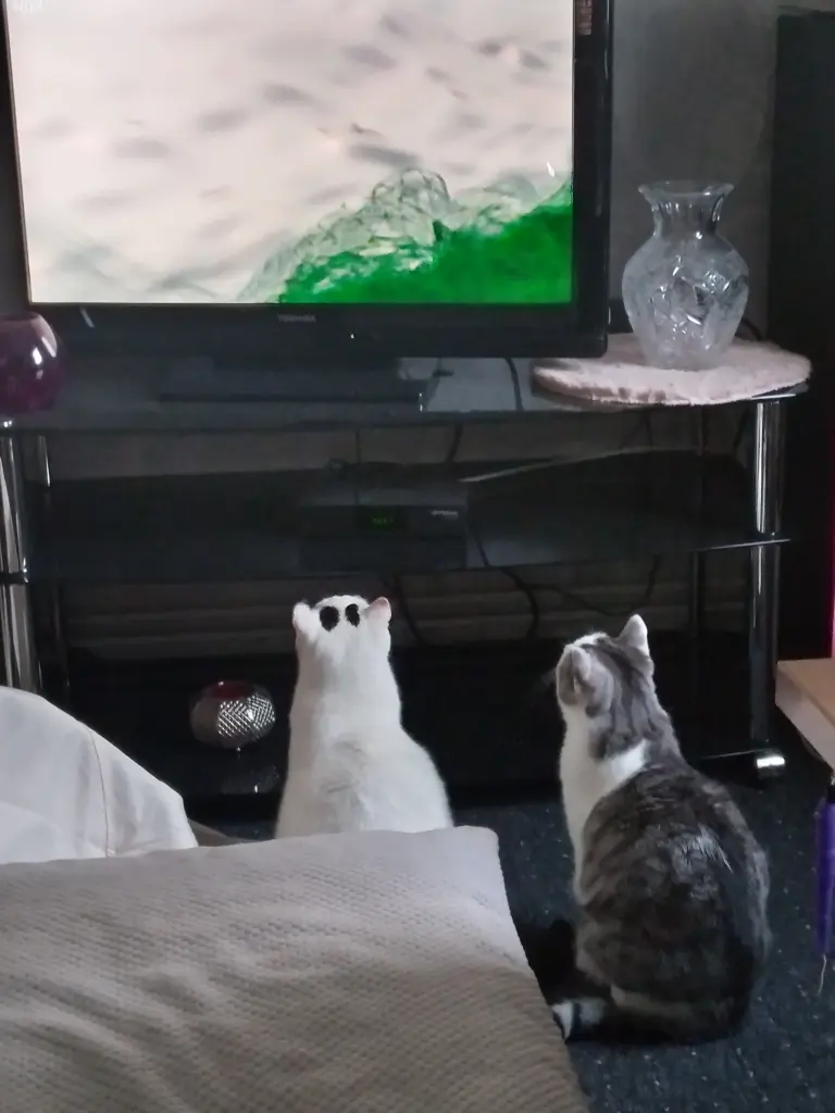 Andachtsbild von Für unsere kleine Missyle ♥️