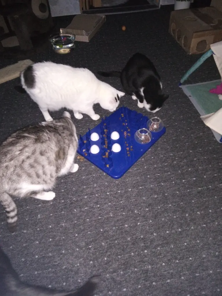 Andachtsbild von Für unser kleines Missyle ❤️