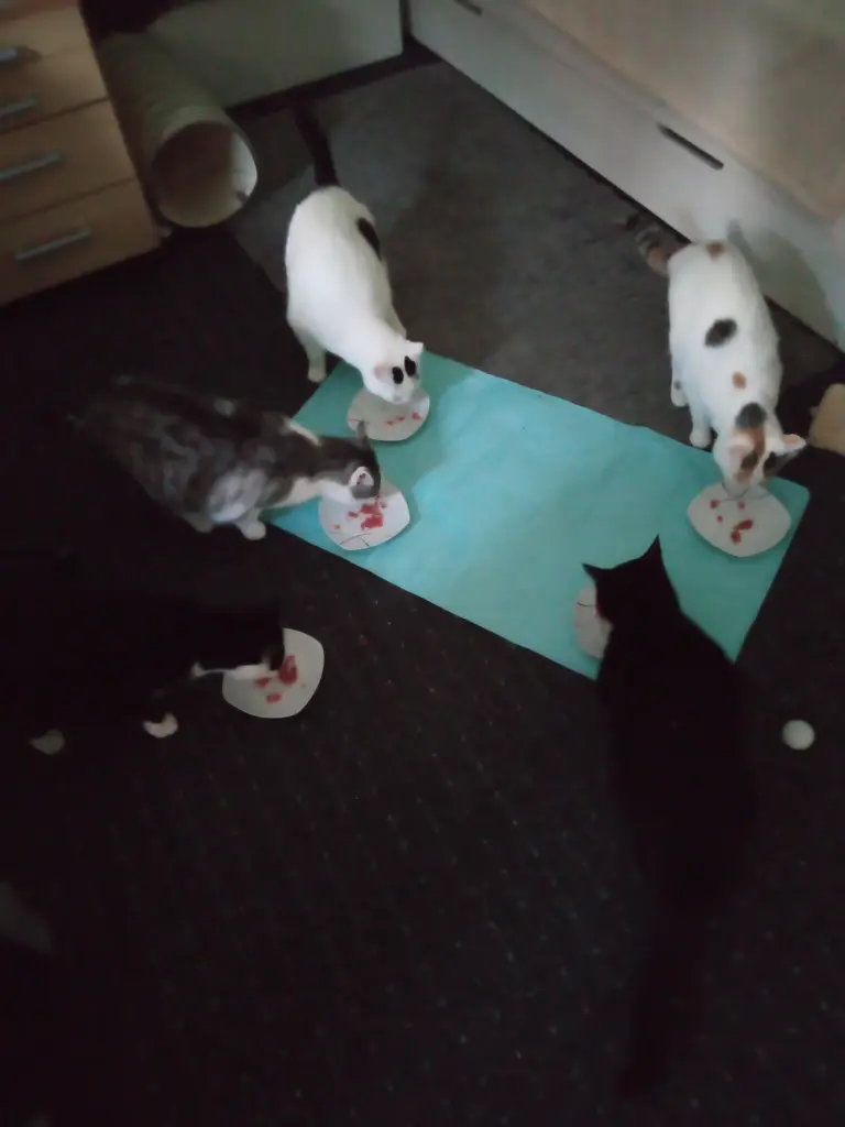 Andachtsbild von Für Dich mein liebes kleines Missyle ❤️