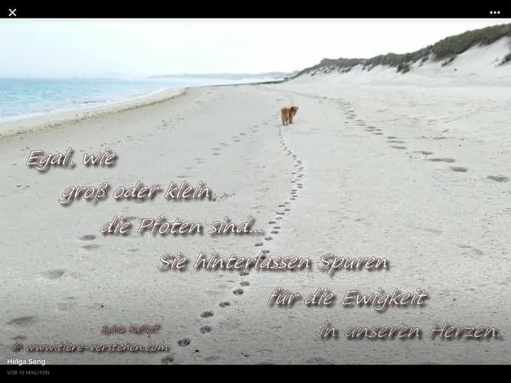 Andachtsbild von Für Dich meine kleine Missymaus ♥️