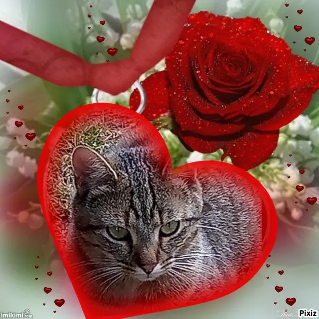 Andachtsbild von Für unsere kleine Missyle ♥️