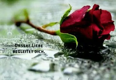 Andachtsbild von Für Dich meine kleine Missyle ♥️