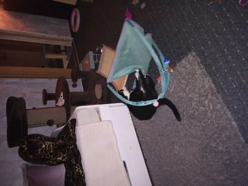 Andachtsbild von Für Dich mein kleines Missyle ♥️