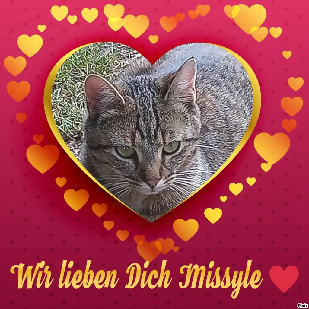 Andachtsbild von Für unser kleines Schwesterchen Missy❤️