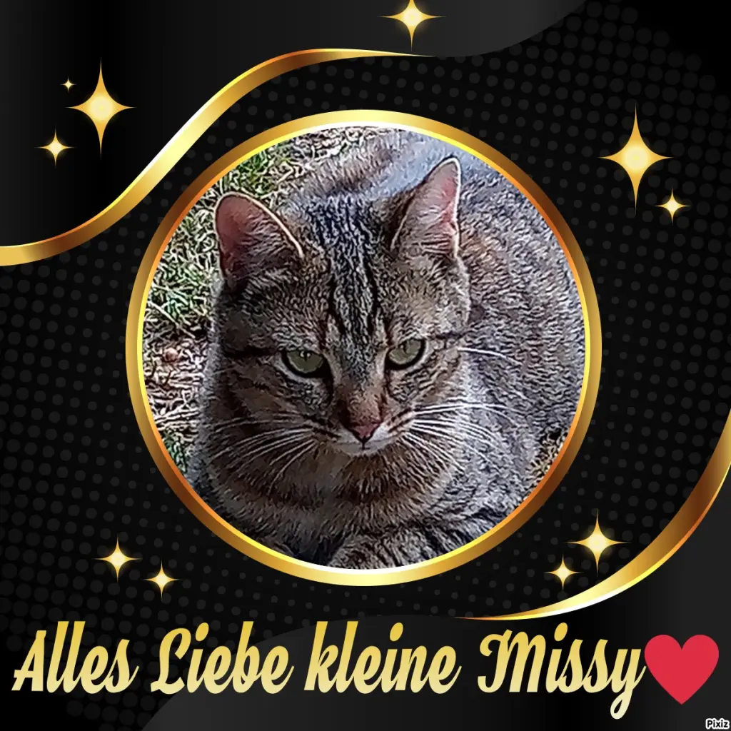 Andachtsbild von Happy neues Jahr für unsere kleine Missyle ❤️eine