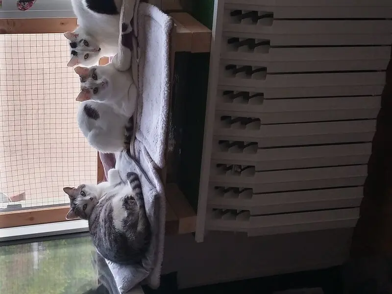 Andachtsbild von Für Dich mein Missyle ♥️