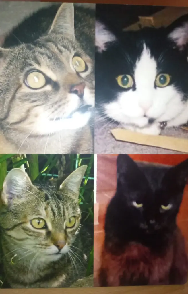 Andachtsbild von für die kleine Missy ♥