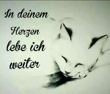 Condolence image of Für Dich meine kleine Missyle❤️
