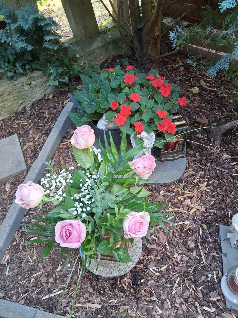 Condolence image of Für unser kleines Tigerchen Missy❤️ 4 Jahre ohne Dich