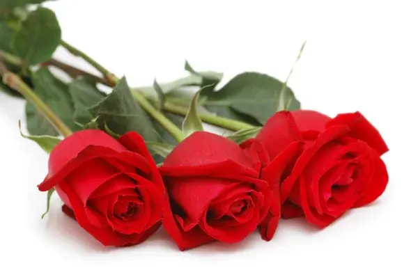 Condolence image of für die kleine Missy 💖💖💖💖