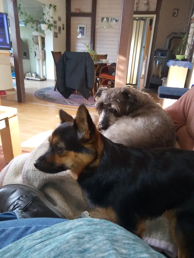 Andachtsbild von Diana Busch