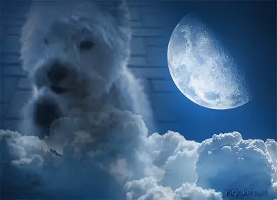 Condolence image of Mama
