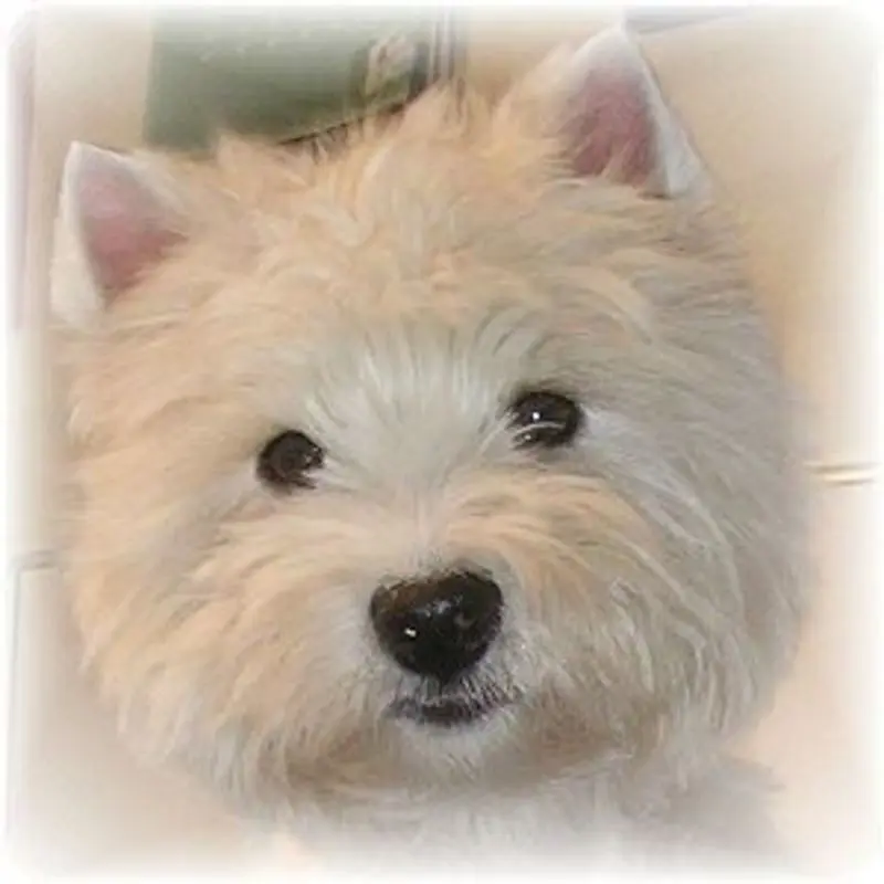 Condolence image of Mama