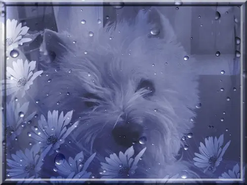 Condolence image of Mama