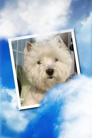 Condolence image of Mama