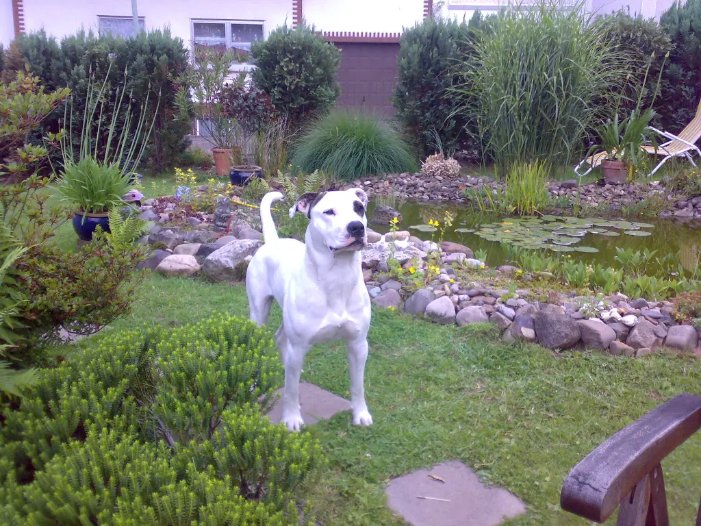 Image from Charly