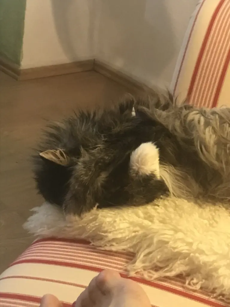 Condolence image of Barbara 
