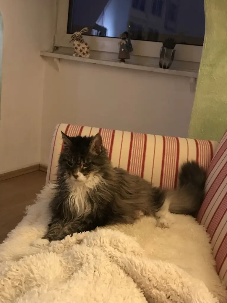 Image from Cleo