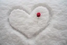 Condolence image of Anja mit Maja & Gräuli im ༺❤️༻