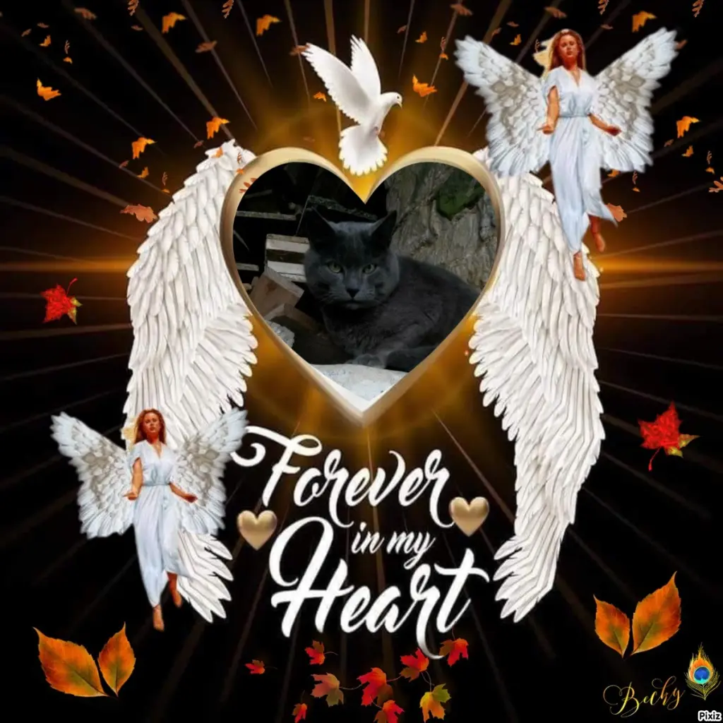 Condolence image of Tanja mit Timmy im Herzen