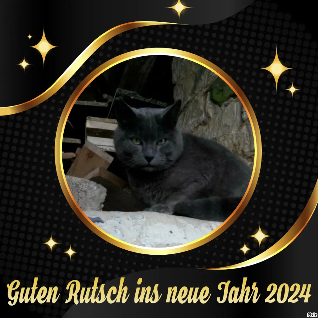 Condolence image of Timmys Mutti Tanja an Sternenprinz Grizzly ❤