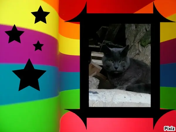 Condolence image of Tanja mit Timmy im Herzen 