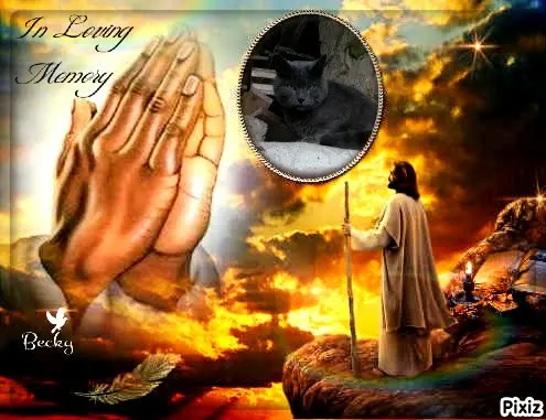 Condolence image of Tanja mit Timmy im Herzen 