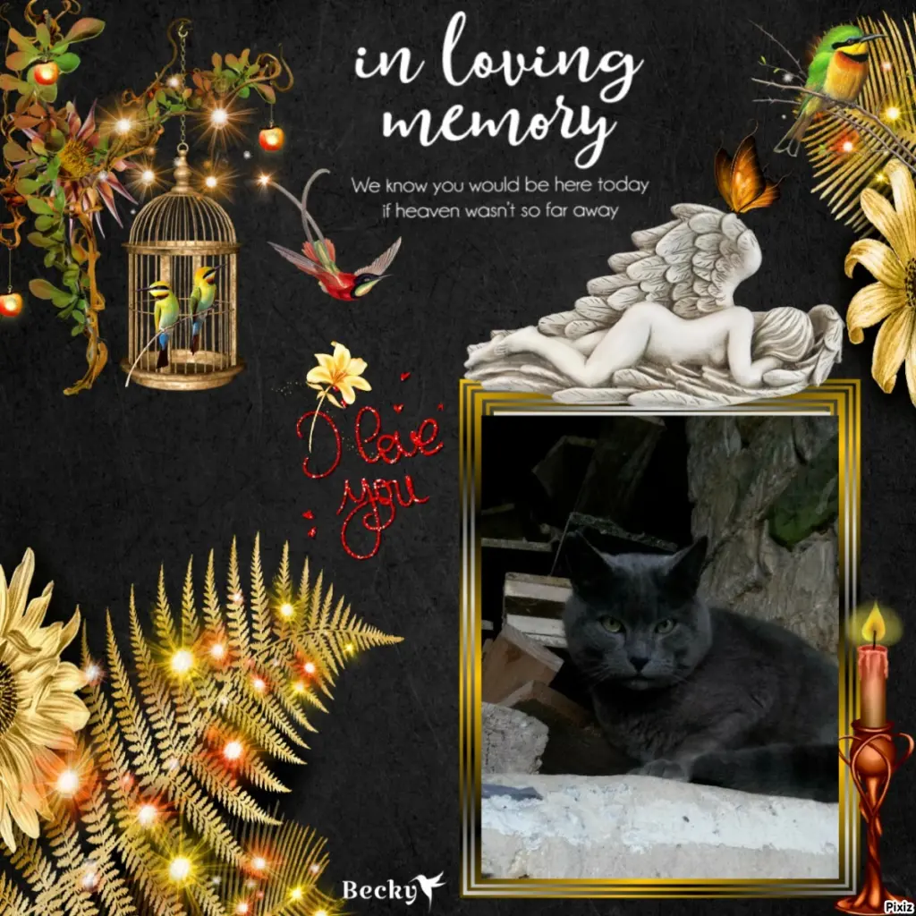 Condolence image of Tanja mit Timmy im Herzen