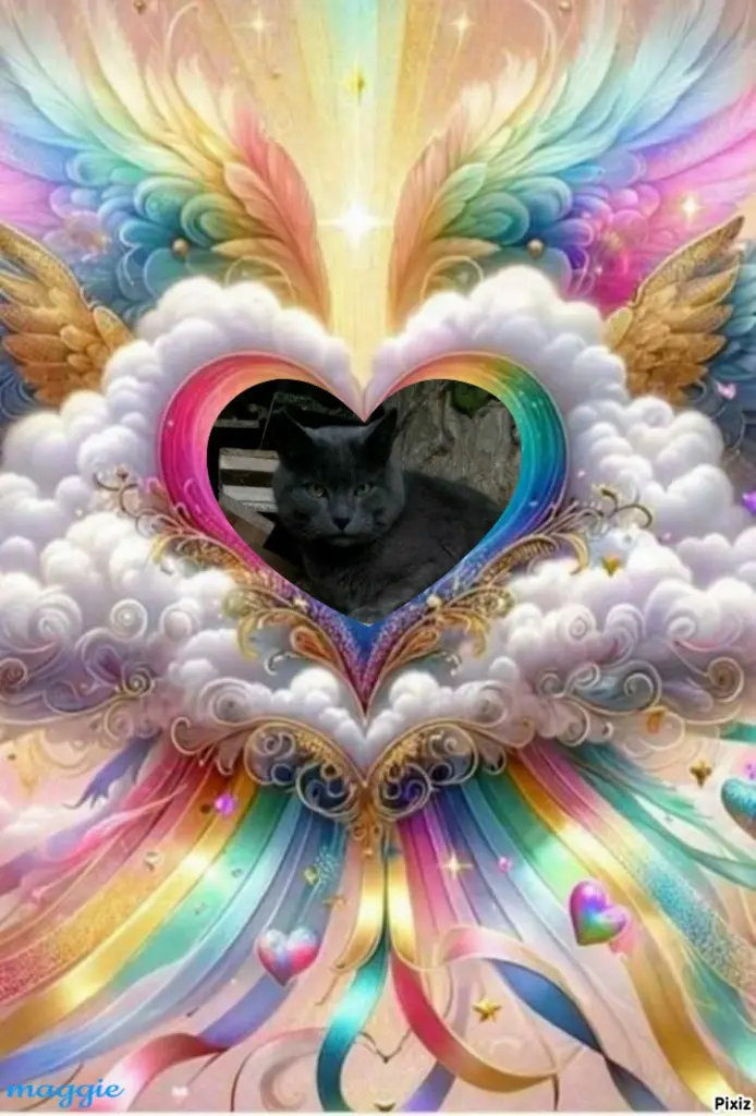 Condolence image of Tanja mit Timmy im Herzen