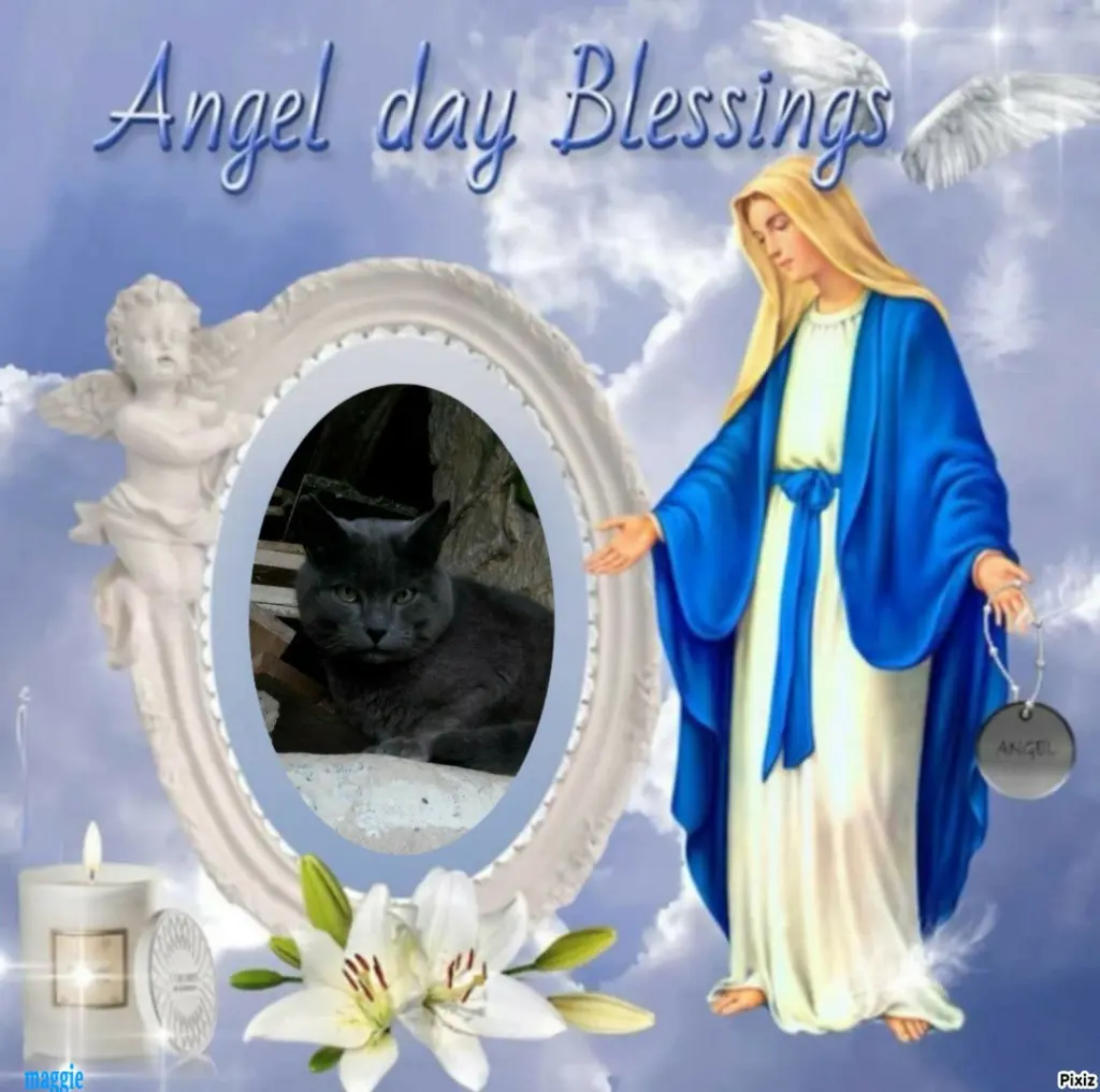 Condolence image of Tanja mit Timmy im Herzen