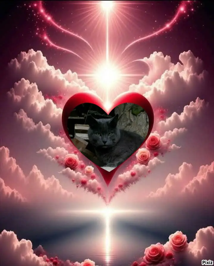 Condolence image of Tanja mit Timmy im 💘