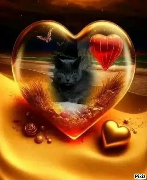 Condolence image of Tanja mit Timmy im 💘🐈🐾