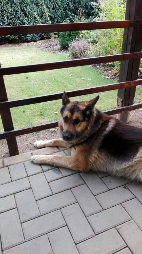 Image from Asko