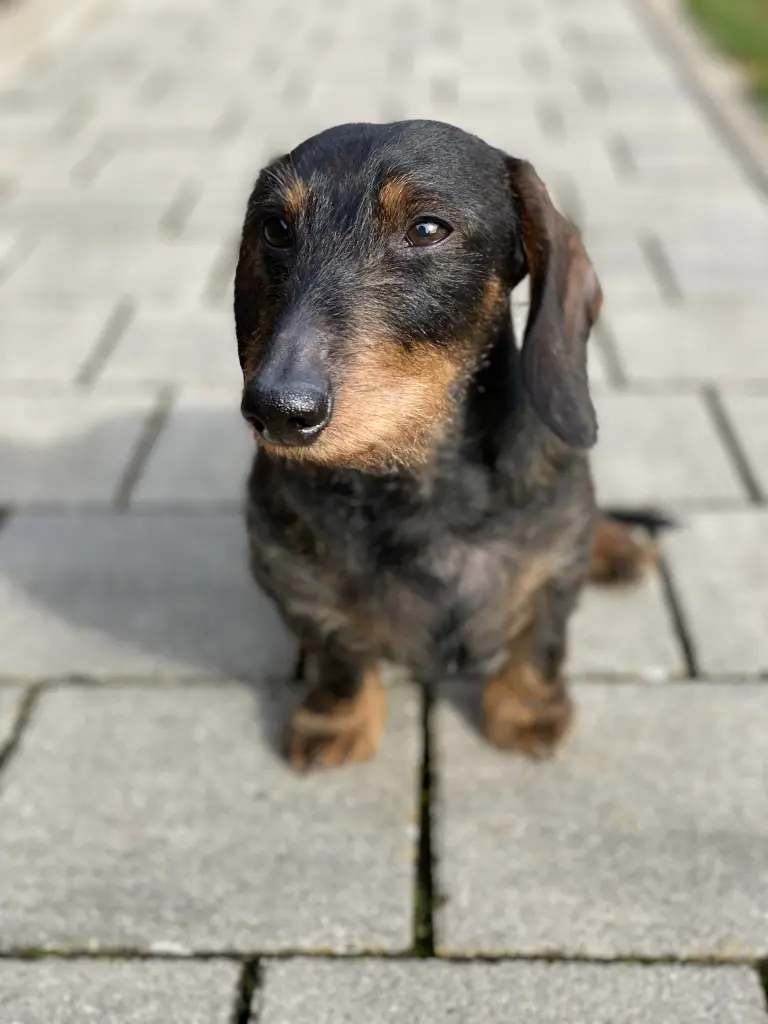 Image from Lenny