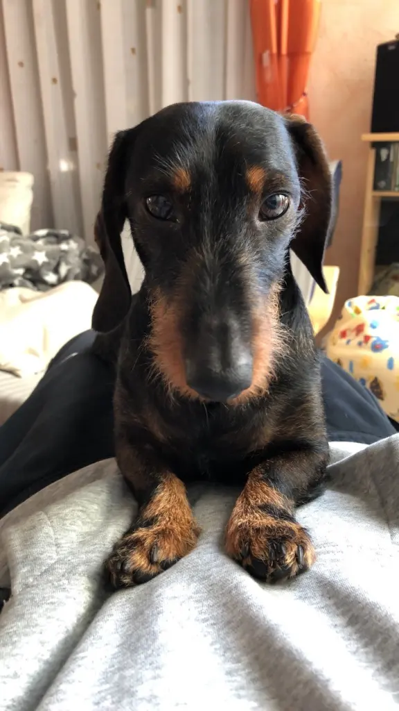 Image from Lenny